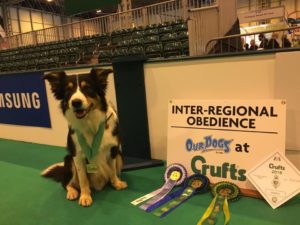 crufts obedience Tor