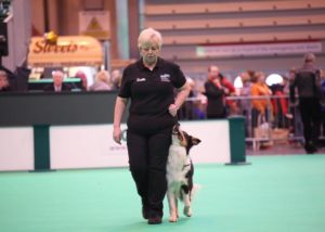 Tor at Crufts